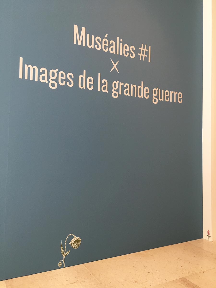 A-PetitesFleursOK_5409