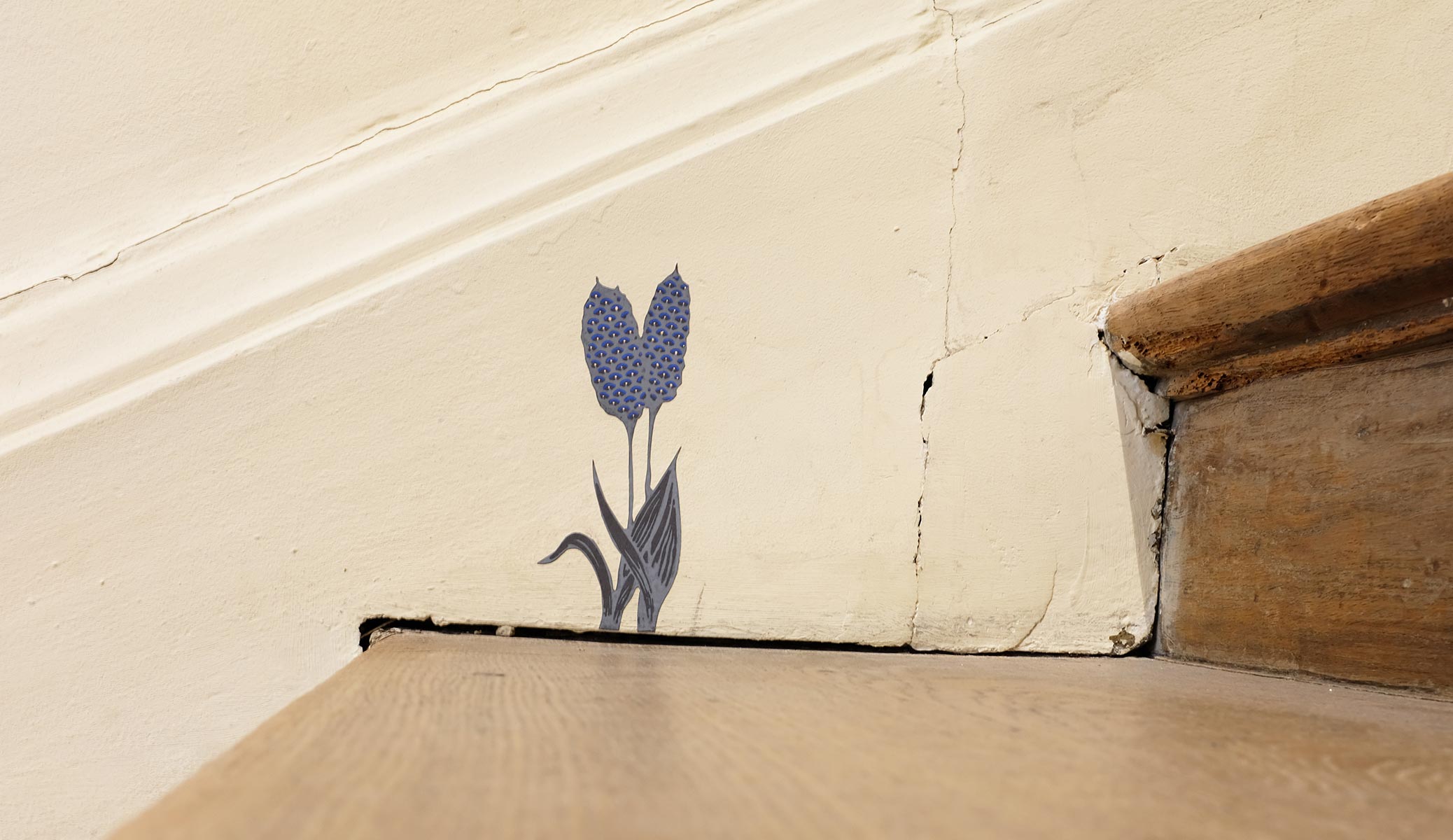 E-PetitesFleursRennesOKDSCF0819