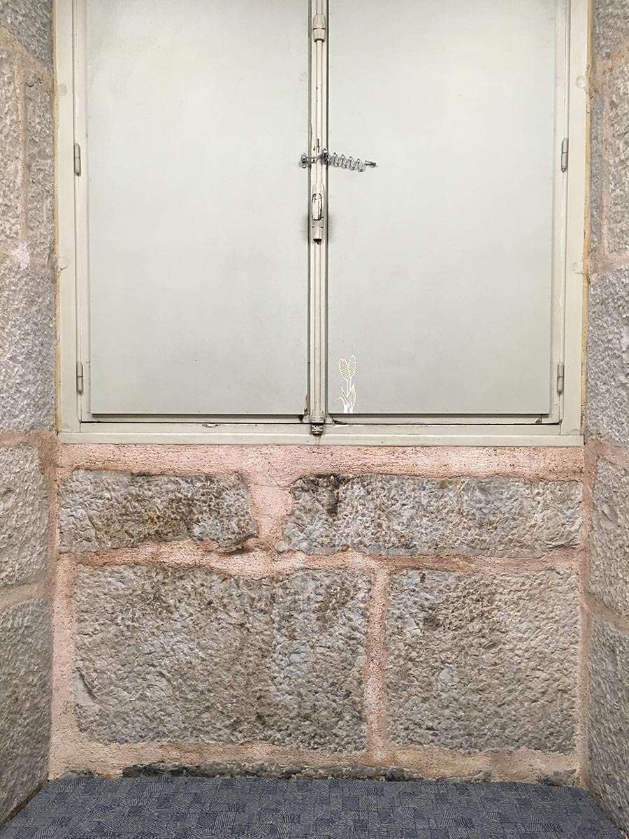 G-PetitesFleursMuseeResistanceOK_6184